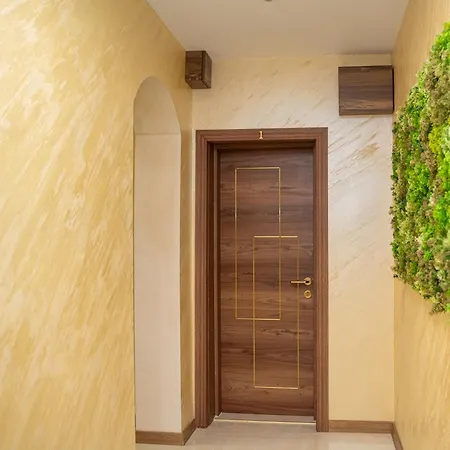 Sion Boutique Guest *